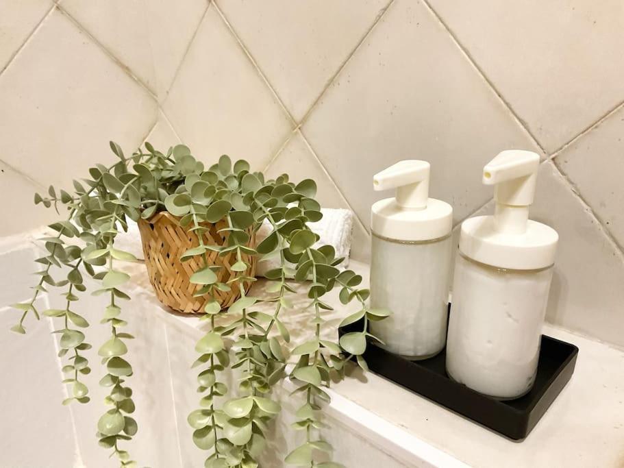 Ks Costa Mayka - San Jose - Kaleria Suites מראה חיצוני תמונה