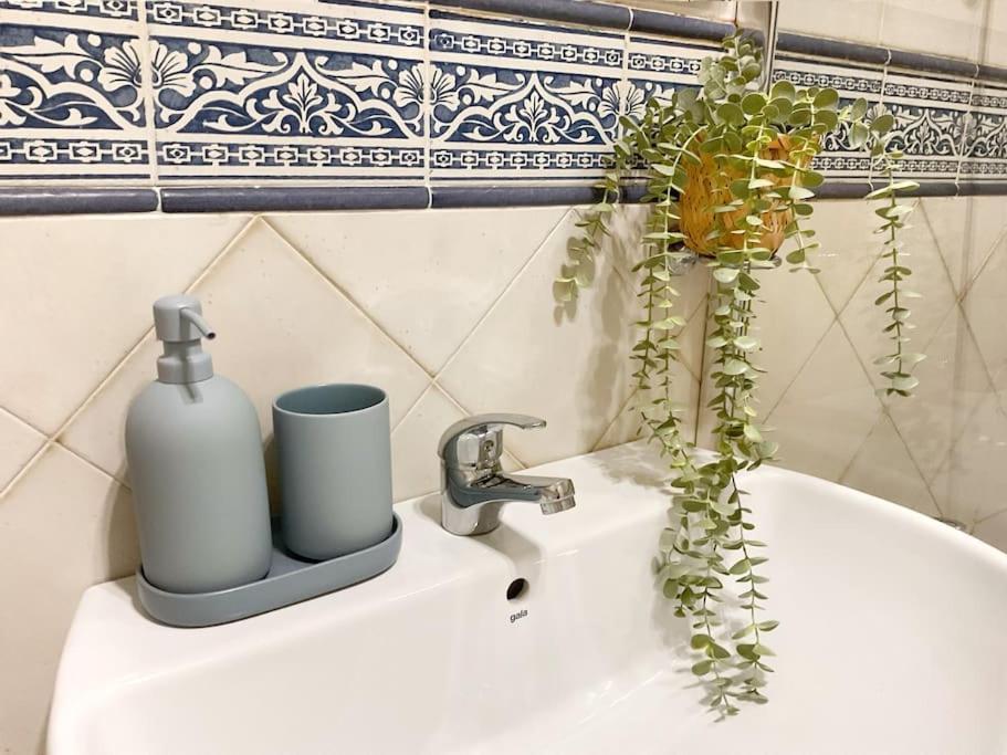 Ks Costa Mayka - San Jose - Kaleria Suites מראה חיצוני תמונה